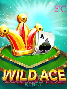 Explorando o Mundo de WildAce e K5BET